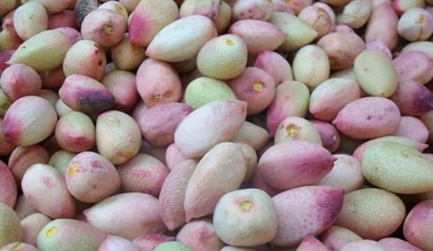 Kilosu 1200 TL ama talep yağıyor! Bu besin kolesterol&uuml;n&uuml;z&uuml; d&uuml;ş&uuml;r&uuml;yor