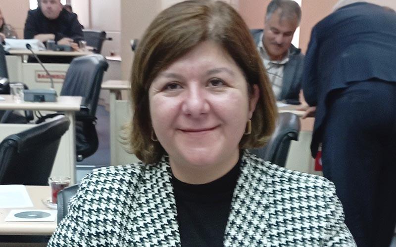 AK Parti Grup Başkanvekili Feride Kabadayılar