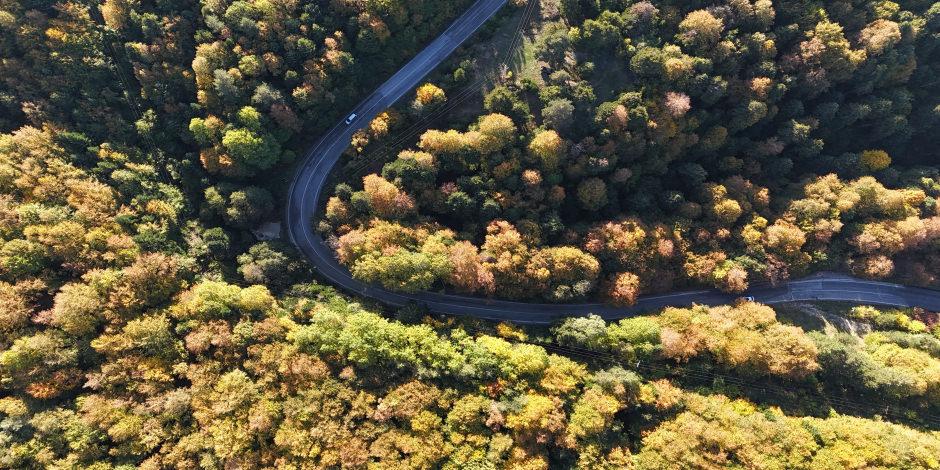 Bolu&rsquo;da g&uuml;z zamanı: G&ouml;lc&uuml;k Tabiat Parkı yolu sarı ve kahverengine boyandı