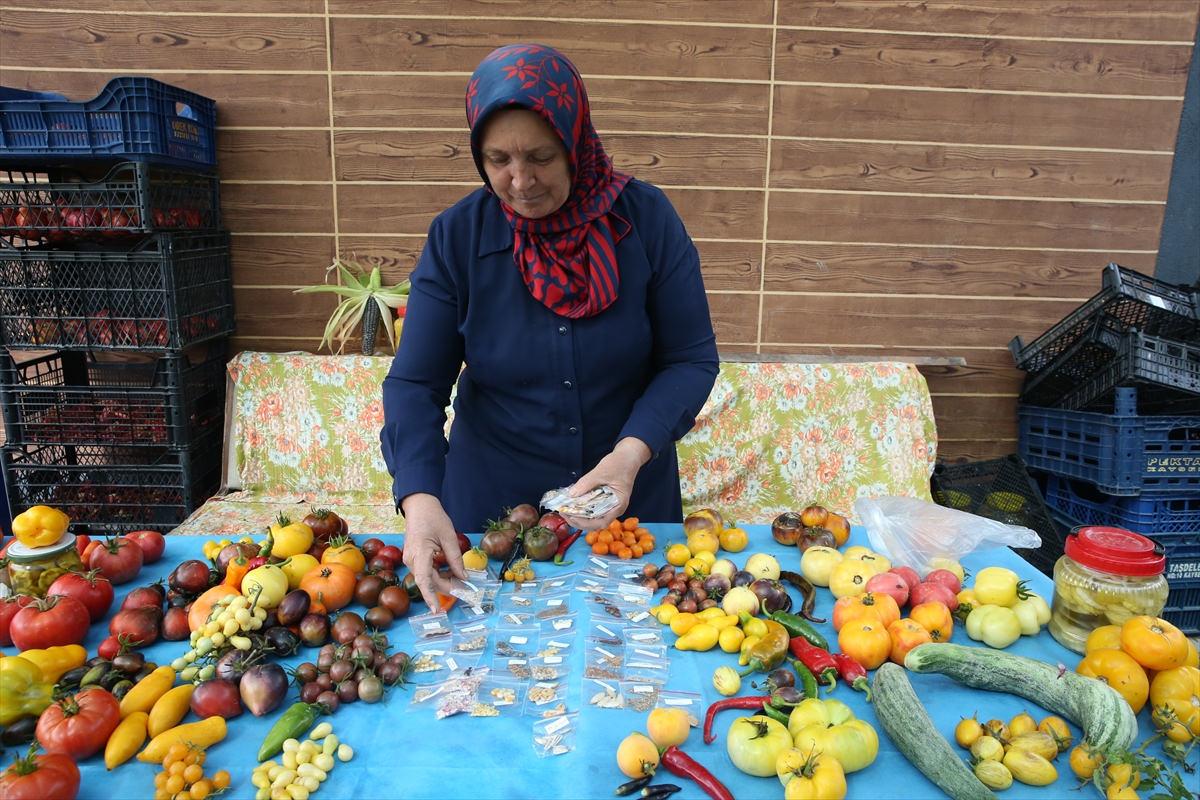 Bir pakette yaklaşık 50-55 çeşit tohum sunan Zülkariye Çıtak, bahçesinde üretim yapacak kişilere farklı sebze tohumları gönderiyor.