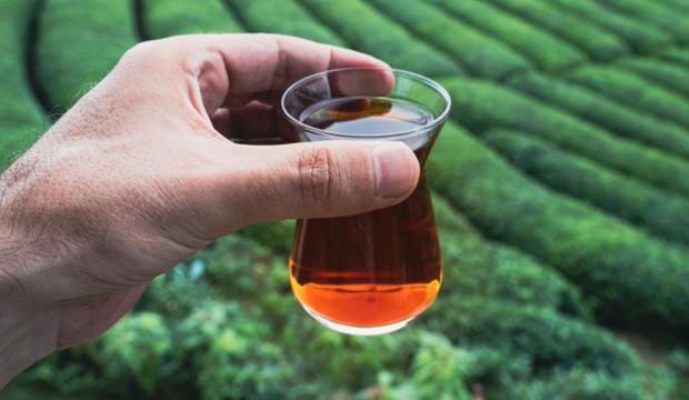 &Ccedil;ay tutkunlarına m&uuml;jde: 1 faydası daha ortaya &ccedil;ıktı! Y&uuml;zde 11 d&uuml;ş&uuml;r&uuml;yor