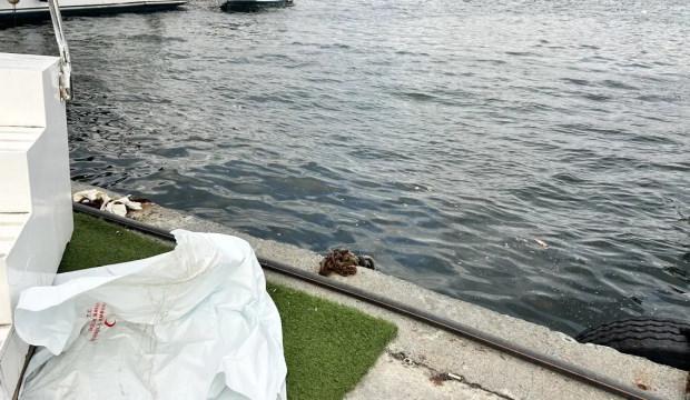 Fatih'te denizde erkek cesedi bulundu