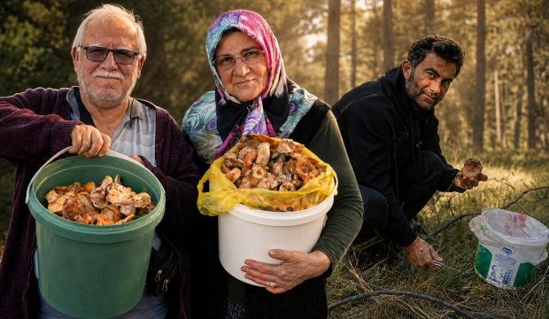 Kilosu 400 liradan 50 liraya d&uuml;şt&uuml;: Kovayı alan ormana koştu