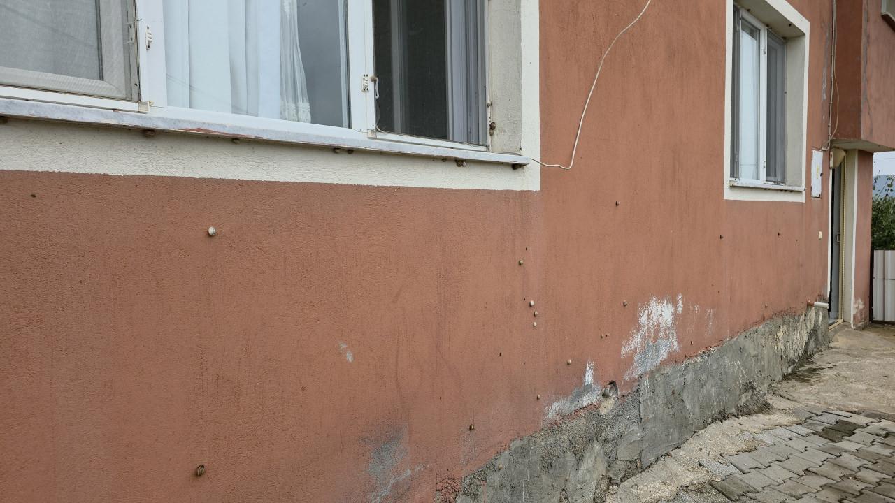 Depremin ardından ortaya çıkan salyangozlar mahalleyi ele geçirdi.