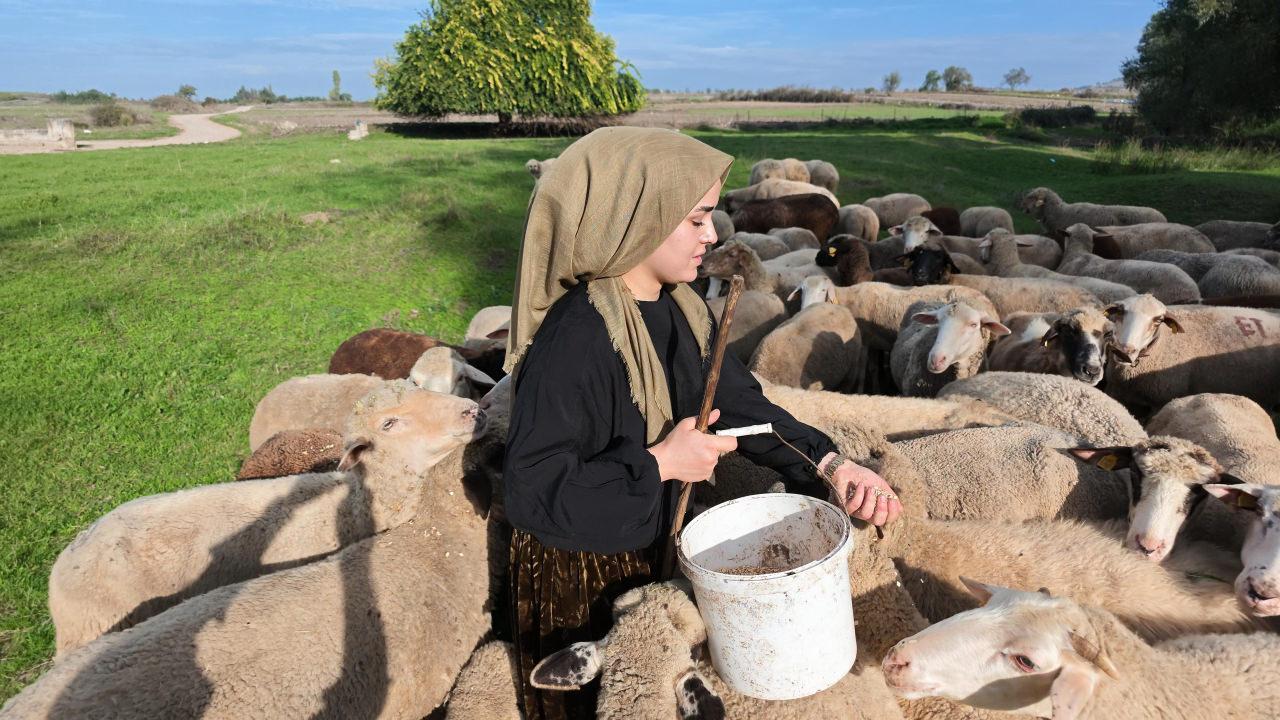 Balıkesir’de yaşayan 25 yaşındaki Sueda Demirci, 2022’de aldığı 100 bin liralık hibe desteğiyle koyun yetiştiriciliğine adım attı.