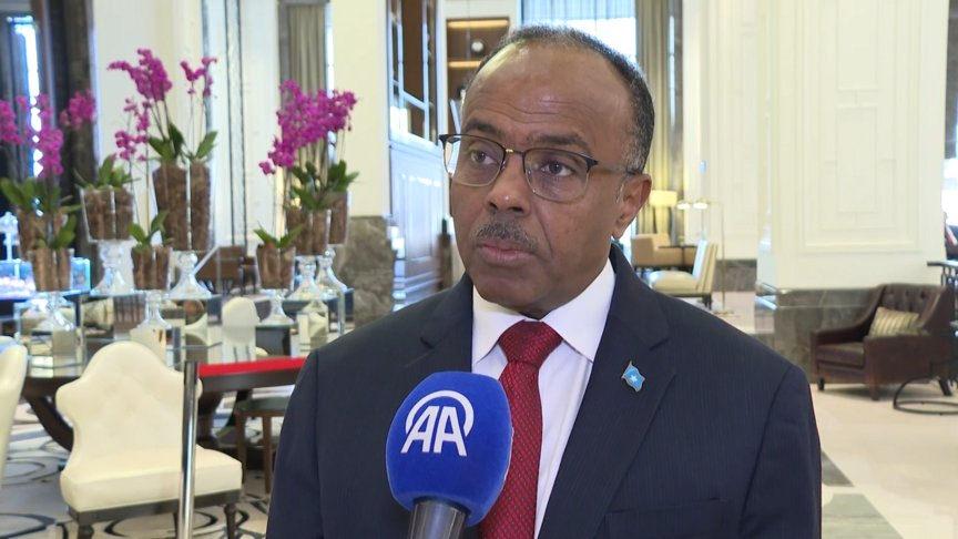 Somali Dışişleri ve Uluslararası İşbirliği Devlet Bakanı Ali Mohamed Omar