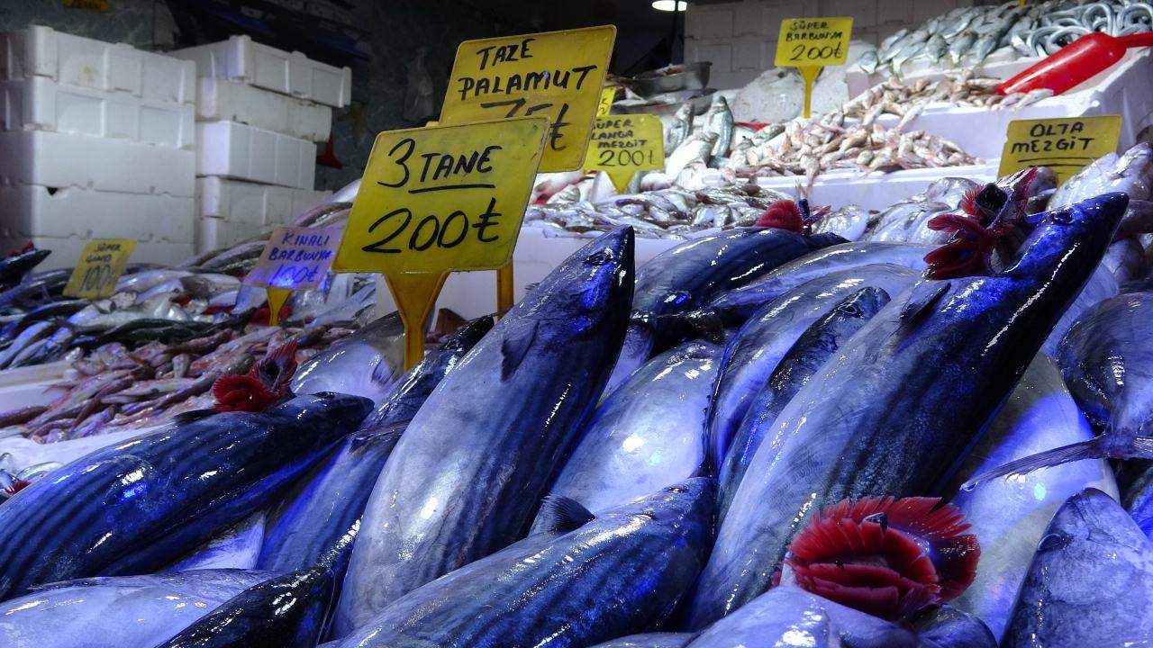 Palamut bolluğunu fırsata dönüştürmek isteyen balıkçılık temsilcileri, balığın uygun fiyatlarla satışa sunulmasını ve geleneksel saklama yöntemlerinin değerlendirilmesini önerdi.