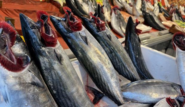 Tarihi bolluğa herkes şaşıp kalıyor! 40 liraya kadar d&uuml;şt&uuml;!