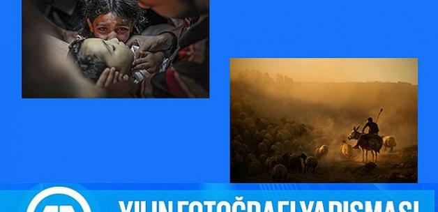 AA'nın Yılın Fotoğrafı oylaması sonuçlandı