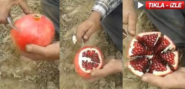 Nar dökmeden dağıtmadan nasıl soyulur? İşte cevabı