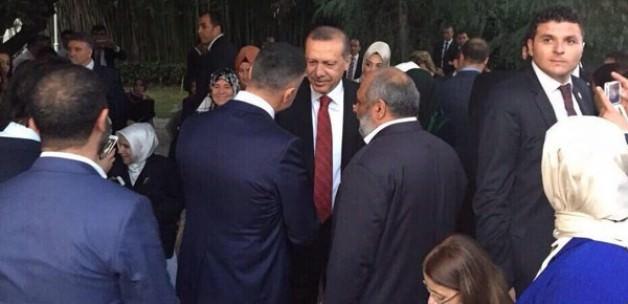 Sedat Peker, Erdoğan'la görüşmesini anlattı