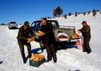 Toros Dağlarına yaban hayvanları için yem bırakıldı