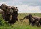 Fillerin en acımasız saldırıları