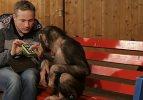 Şempanzenin aklını allakbullak eden illüzyonist