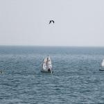 Çanakkale Deniz Zaferi ve Şehitler Günü Yelken Yarışları