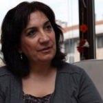 Füsun Demirel tepkiler gelince kıvırdı