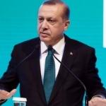 Mete Yarar: Erdoğan 'sınır ötesi' dedi