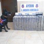 Aydın'da ka&ccedil;ak&ccedil;ıklık operasyonu