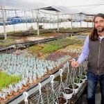 &Ccedil;i&ccedil;ek koleksiyonerlerinin g&ouml;zdesi "kakt&uuml;s ve sukulent"