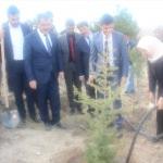 Konya'da şehitlere saygı i&ccedil;in  bin 100 fidan dikildi