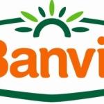 Banvit hisselerine satış dopingi