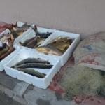 Çanakkale'de barajda kaçak avlanan balıklara el konuldu
