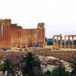 Palmira'da toplu mezar bulundu