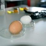 Öğrencilerden yumurtanın raf ömrünü uzatan proje