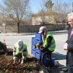 Erzincan Belediyesi, bir milyon çiçeği toprakla buluşturuyor