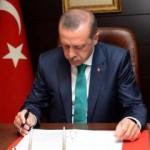 Erdoğan '65 yaş üstü' kanununu onayladı 