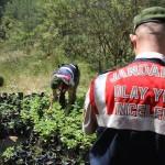 Muğla'da uyuşturucu operasyonu