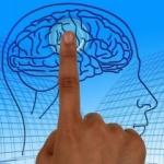 Beyni sıfırlamak m&uuml;mk&uuml;n m&uuml;?