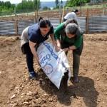 Tunceli Belediyesi yerli tohum üretecek