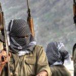 İsveç'ten AB'ye skandal 'PKK' teklifi