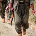 PKK kaçırdığı muhtarı diri diri yaktı!