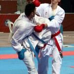 14. Avrupa Bölgeler Karate Şampiyonası
