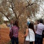 Şanlıurfa'da organik zeytin &uuml;retimi eğitimi