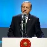 Erdoğan'dan Merkel ve Özdemir'e  sert eleştiri