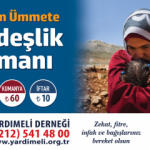 Kardeşlik zamanı