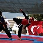 Türkiye Okullararası Hapkido Şampiyonası
