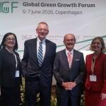BM'nin "Küresel Yeşil Büyüme Formu Zirvesi"