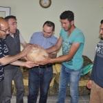 Yozgat'ta 3,3 kilogram ağırlığında mantar bulundu