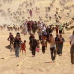 BM: IŞİD Ezidilere soykırım yaptı