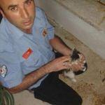 Denizli'de kedi kurtarma operasyonu