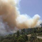 Adrasan'da orman yangını