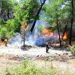 Adrasan'daki orman yangını