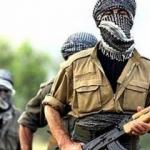Bir PKK'lı terörist teslim oldu