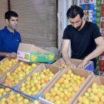 Kayısı bah&ccedil;ede 2, pazarda 6 lira