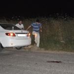 Bursa'da otomobilin çarptığı 9 koyun telef oldu