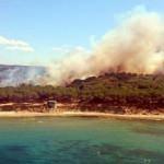 Çanakkale'deki orman yangını söndürüldü
